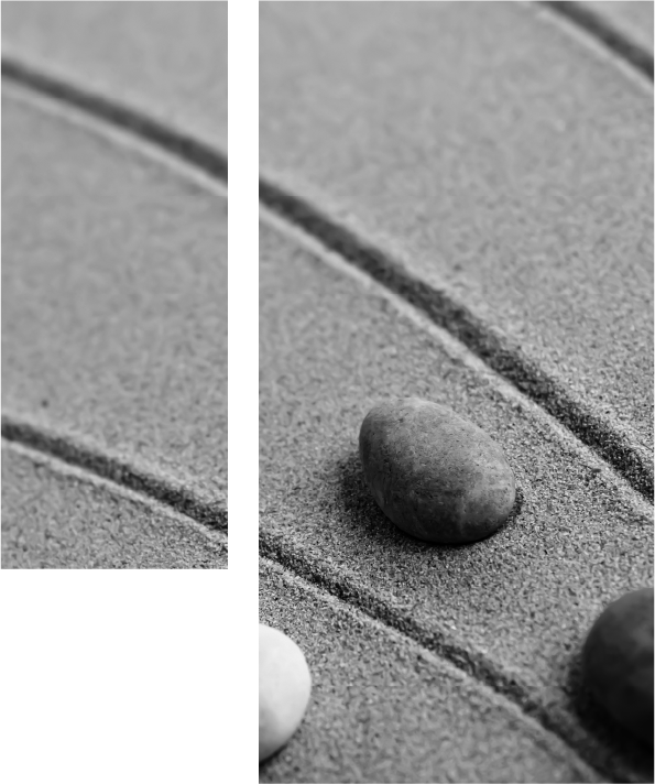 scio-2